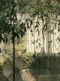 洪荒短文大全