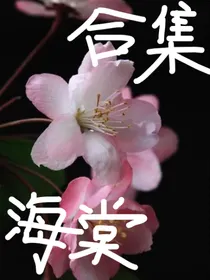 海棠小故事