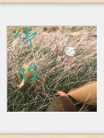 蝶恋花和猫