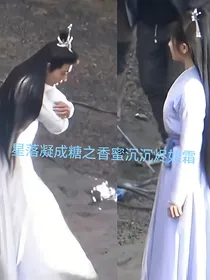 星落凝成糖之香蜜沉沉烬如霜