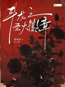 斗龙之圣火徽章