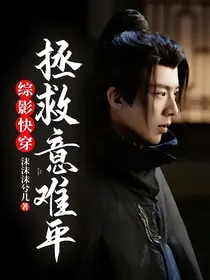 综影快穿：拯救意难平