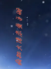 疯批大佬恋爱手册