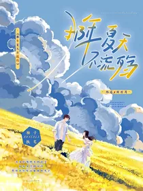 那年夏天不流殇