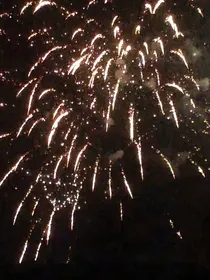专案小队