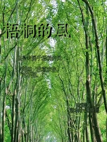 梧桐的风