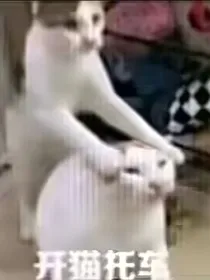 快穿之拯救三千小世界