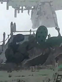 一代至高神竟重生成瑞兽