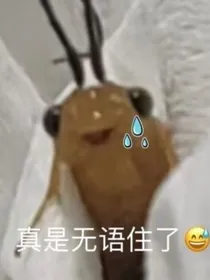 魂穿之我被大佬盯上了