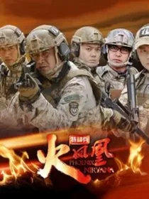 特种兵之火凤凰2013