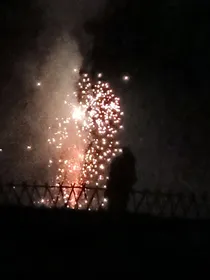 许你花开遍地