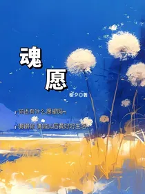 魂愿，可许愿的一百件小事
