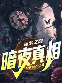 迷案之网：暗夜真相