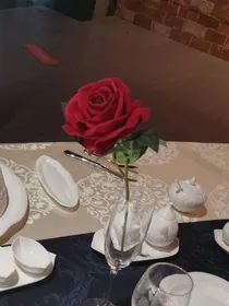 无心迷失者