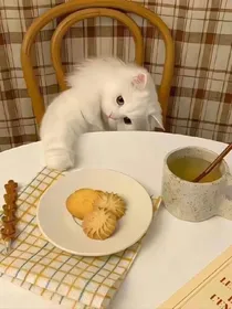 也许喜欢不一定要在一起
