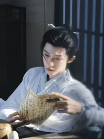 公子刀剑无双