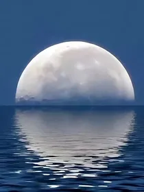 尚晴小姐的日记簿