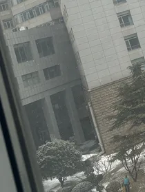 重生之护理社畜的穿越生活