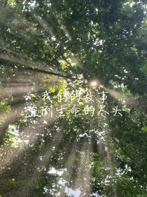我们的故事，直到生命的尽头