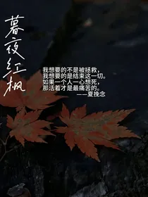 暮夜红枫