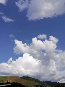 重生回初中每天都想回到未来