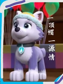 汪汪队之一顶帽一源情