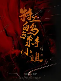 特工白鸟与她的千金杀手小姐