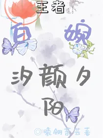王者：白婉，汐颜夕阳
