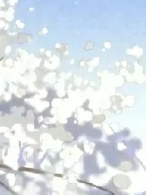 武战道之云梦涵