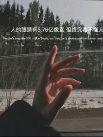 综影花雨