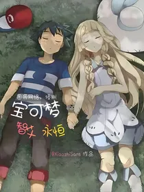 宝可梦：智艾永恒—重写版