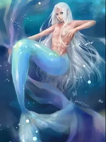 全职猎人之美男们的小人鱼