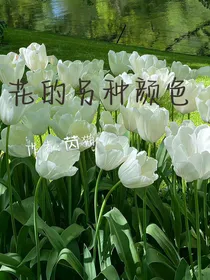 花的另种颜色
