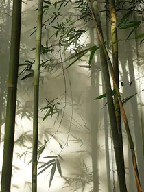 日月浮光