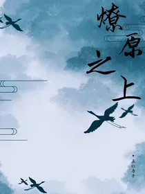 斗龙：燎原之上