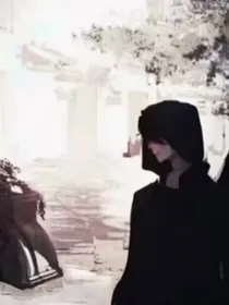 盗笔之随心