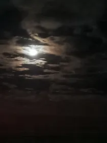 苍天何不放过我