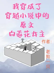 我穿成了穿越小说中的原文白莲花女主