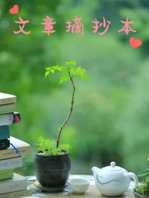 文章摘抄本