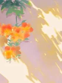 暧昧：白色纽扣
