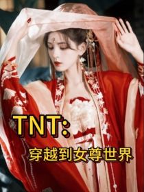 TNT：穿越到女尊世界
