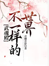 武魂殿：不一样的世界