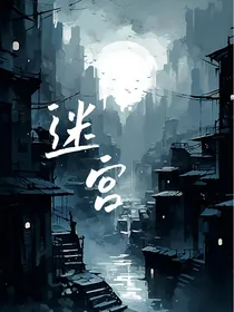 斗龙：迷宫