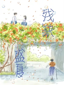 残缺盛夏