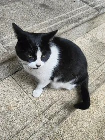 随心日志