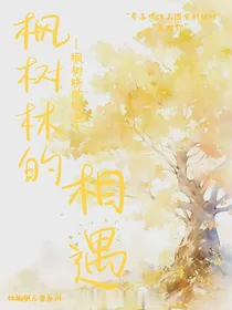 枫树林的相遇