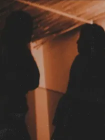 不是赌约也爱你