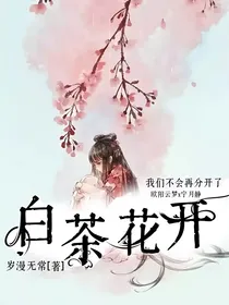 白茶花开