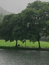 你消失在初夏的那场雨