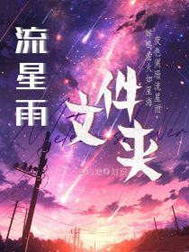 流星雨文件夹